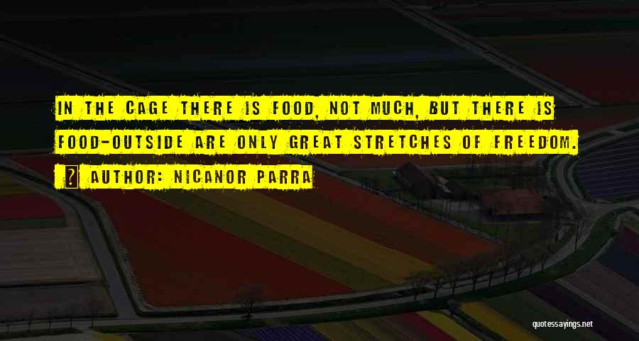 Nicanor Parra Quotes 231232