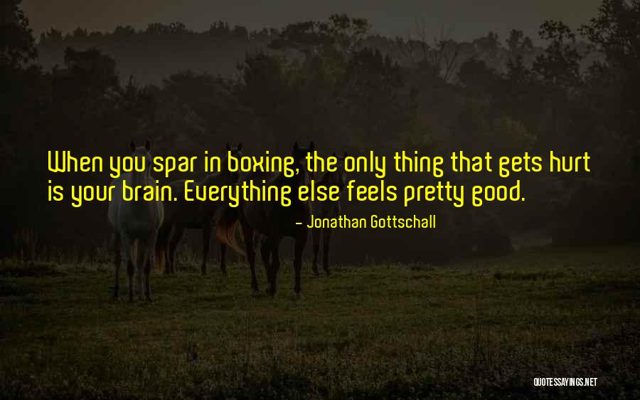Nicanor Reyes Quotes By Jonathan Gottschall Nicanor Reyes Quotes By Jonathan Gottschall