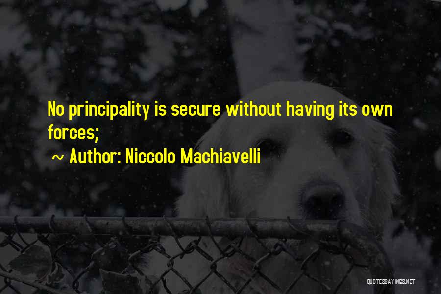 Niccolo Machiavelli Quotes 1660338