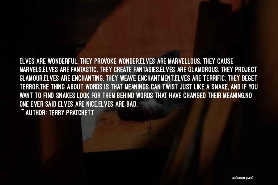Nice And Meaning Quotes By Terry Pratchett