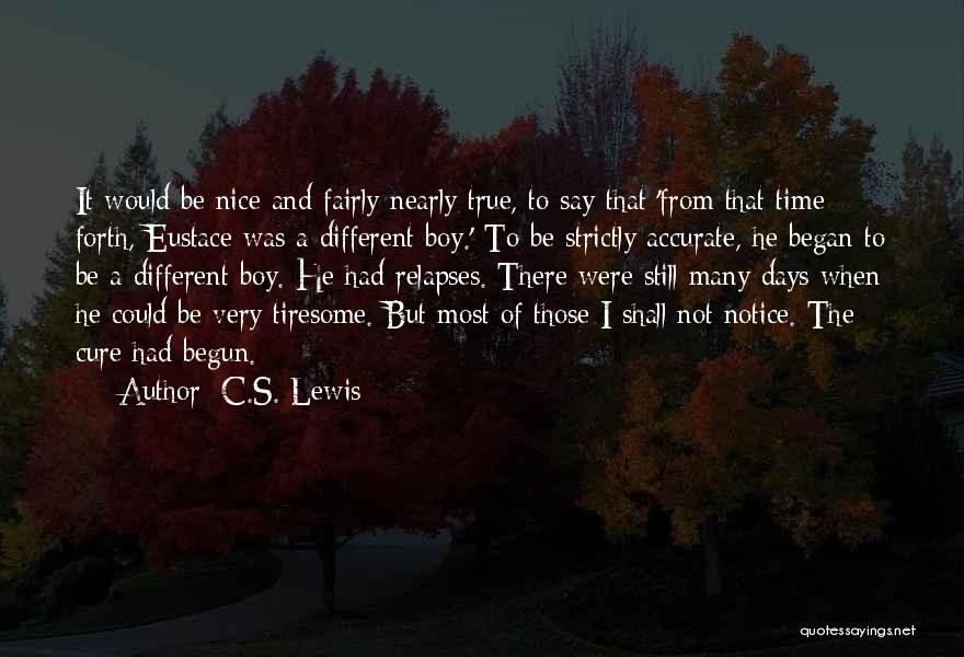 Nice Days Quotes By C.S. Lewis