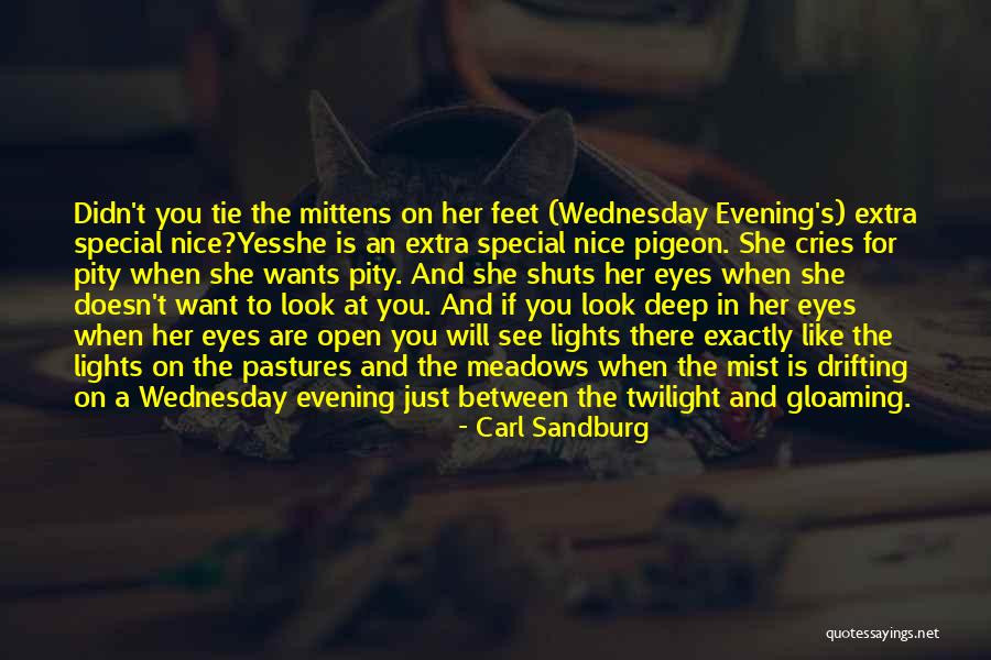Nice Evening Quotes By Carl Sandburg Nice Evening Quotes By Carl Sandburg