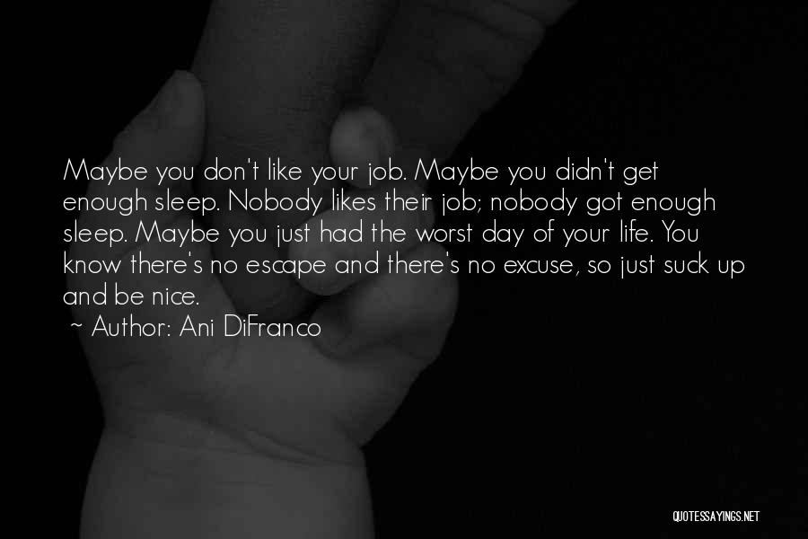 Nice Excuse Quotes By Ani DiFranco