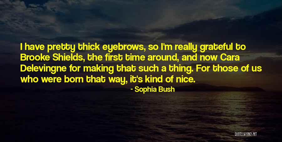 Nice Eyebrows Quotes By Sophia Bush Nice Eyebrows Quotes By Sophia Bush