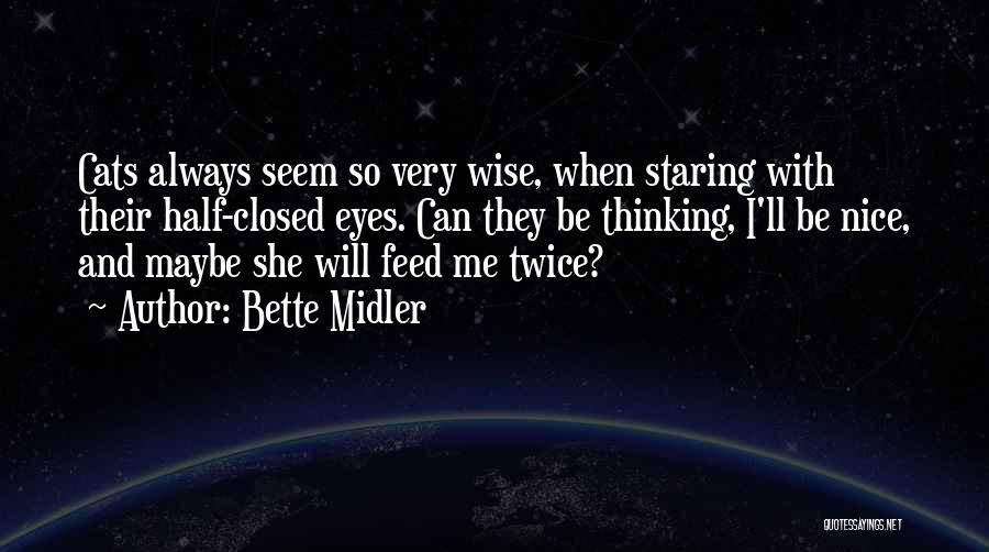 Nice Eyes Quotes By Bette Midler