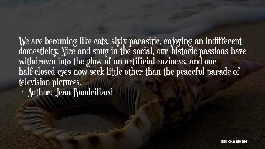 Nice Eyes Quotes By Jean Baudrillard