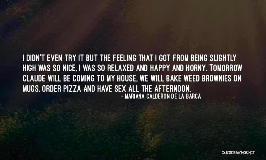 Nice Feeling Quotes By Mariana Calderon De La Barca Nice Feeling Quotes By Mariana Calderon De La Barca