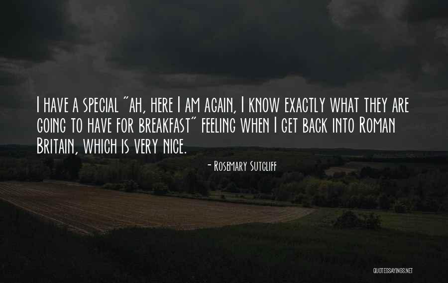 Nice Feeling Quotes By Rosemary Sutcliff Nice Feeling Quotes By Rosemary Sutcliff