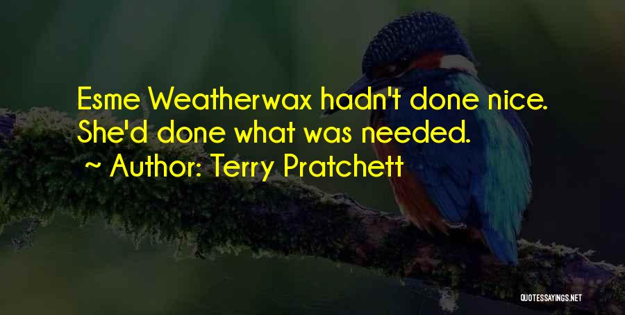 Nice Granny Quotes By Terry Pratchett