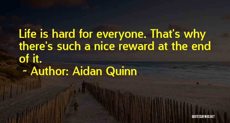 Nice Life Quotes By Aidan Quinn