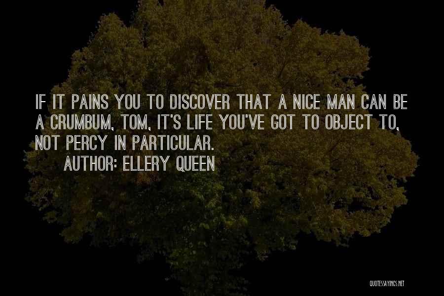 Nice Life Quotes By Ellery Queen