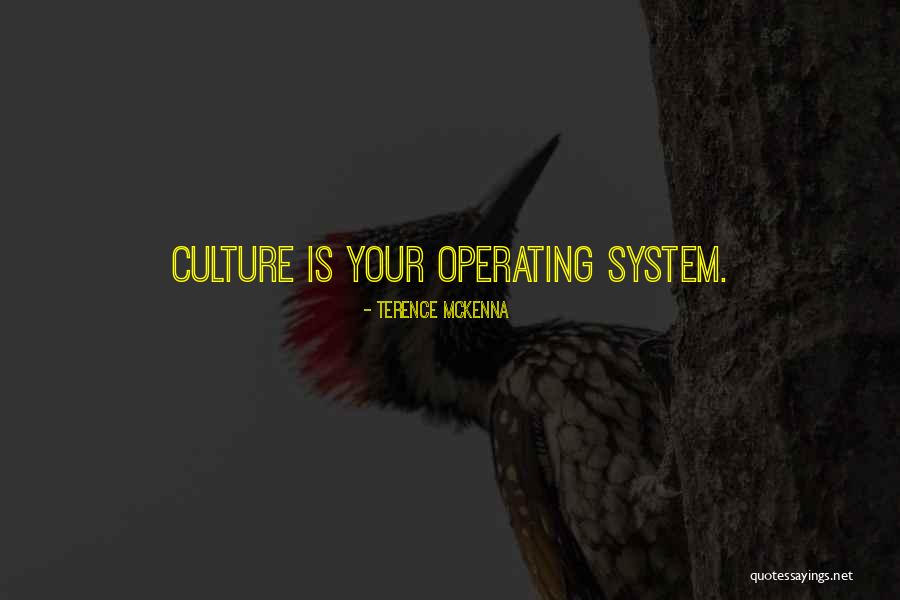 Nice Mumbai Quotes By Terence McKenna Nice Mumbai Quotes By Terence McKenna