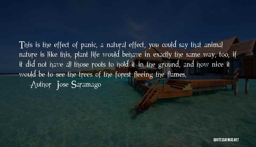 Nice Natural Quotes By Jose Saramago