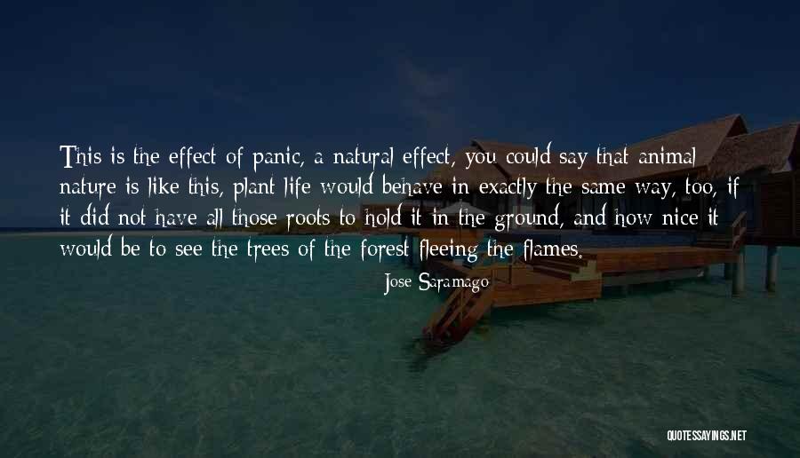 Nice Natural Quotes By Jose Saramago