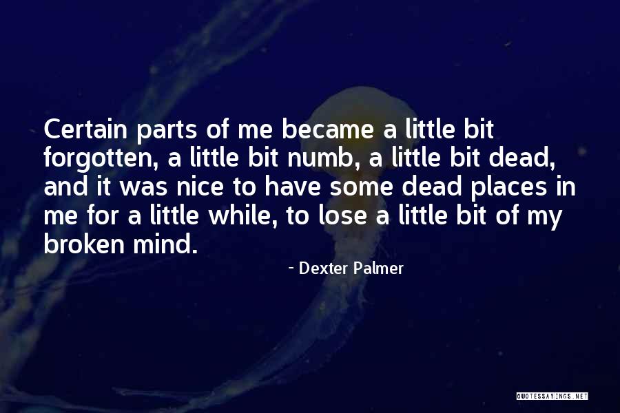 Nice Places Quotes By Dexter Palmer