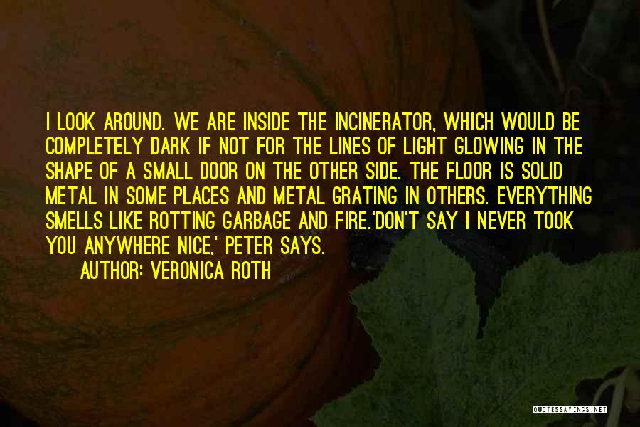 Nice Places Quotes By Veronica Roth