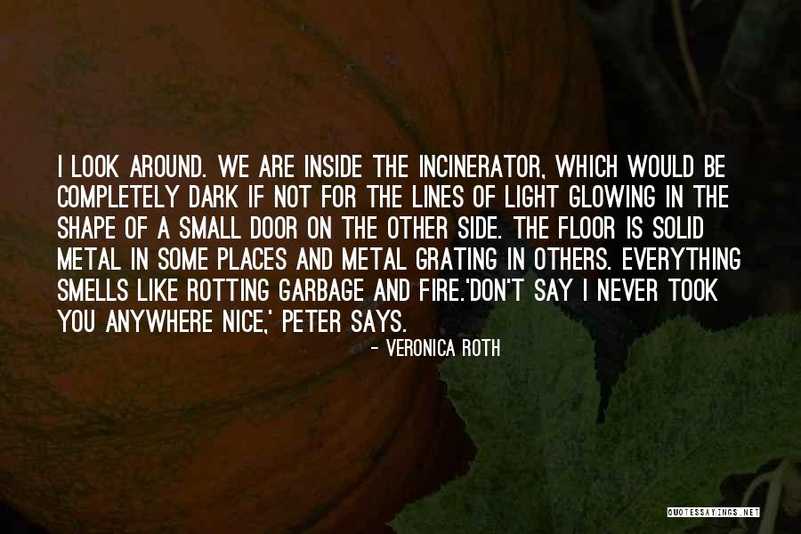 Nice Says Quotes By Veronica Roth Nice Says Quotes By Veronica Roth