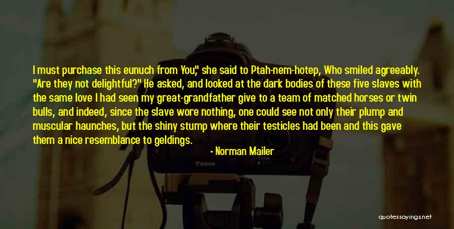 Nice Shiny Quotes By Norman Mailer Nice Shiny Quotes By Norman Mailer