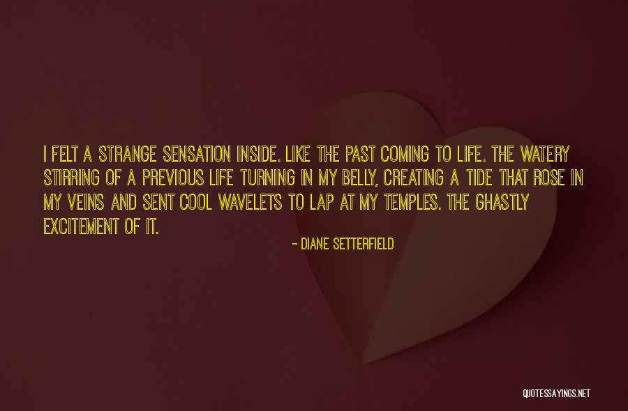 Nice Stuttering Quotes By Diane Setterfield