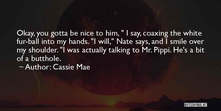 Nice Talking To You Quotes By Cassie Mae