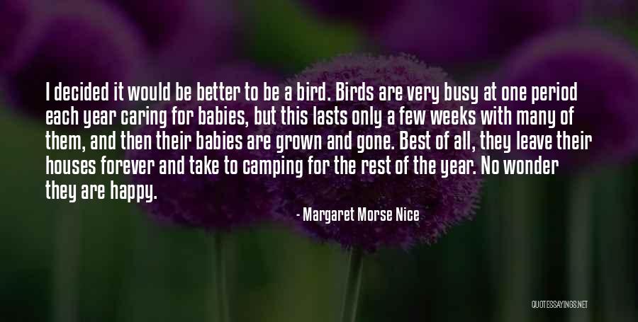 Nice To Be Happy Quotes By Margaret Morse Nice