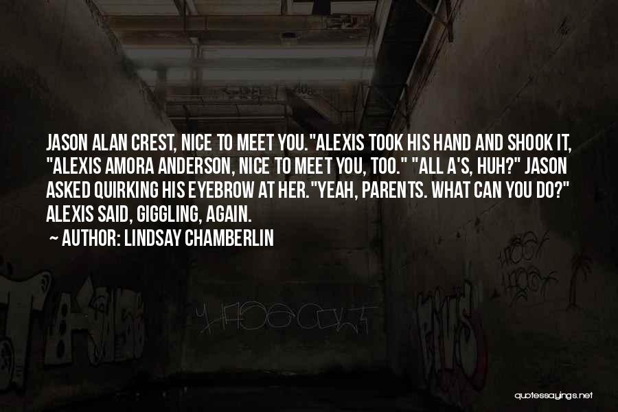 Nice To Meet You Again Quotes By Lindsay Chamberlin