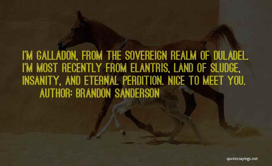 Nice To Meet You Quotes By Brandon Sanderson