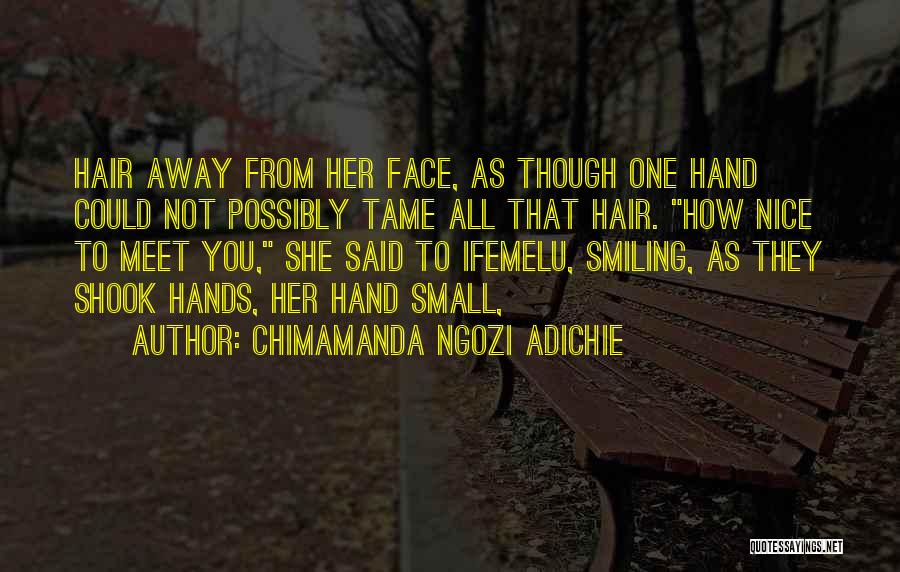 Nice To Meet You Quotes By Chimamanda Ngozi Adichie