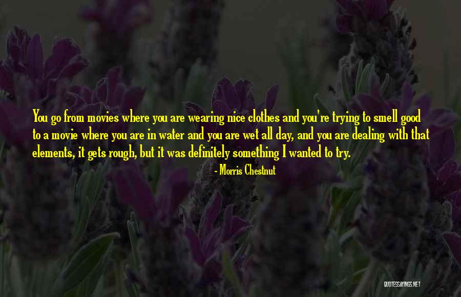 Nice Try Quotes By Morris Chestnut Nice Try Quotes By Morris Chestnut