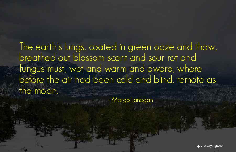 Nice Ukrainian Quotes By Margo Lanagan Nice Ukrainian Quotes By Margo Lanagan