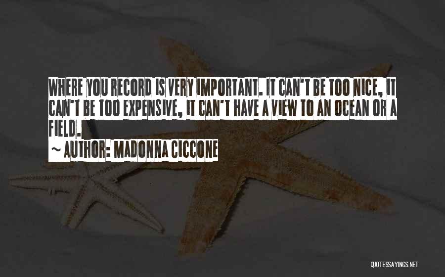 Nice View With Quotes By Madonna Ciccone
