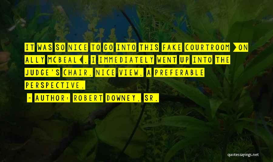 Nice Views Quotes By Robert Downey, Sr.
