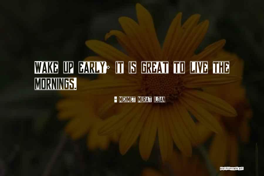 Nice Violin Quotes By Mehmet Murat Ildan Nice Violin Quotes By Mehmet Murat Ildan
