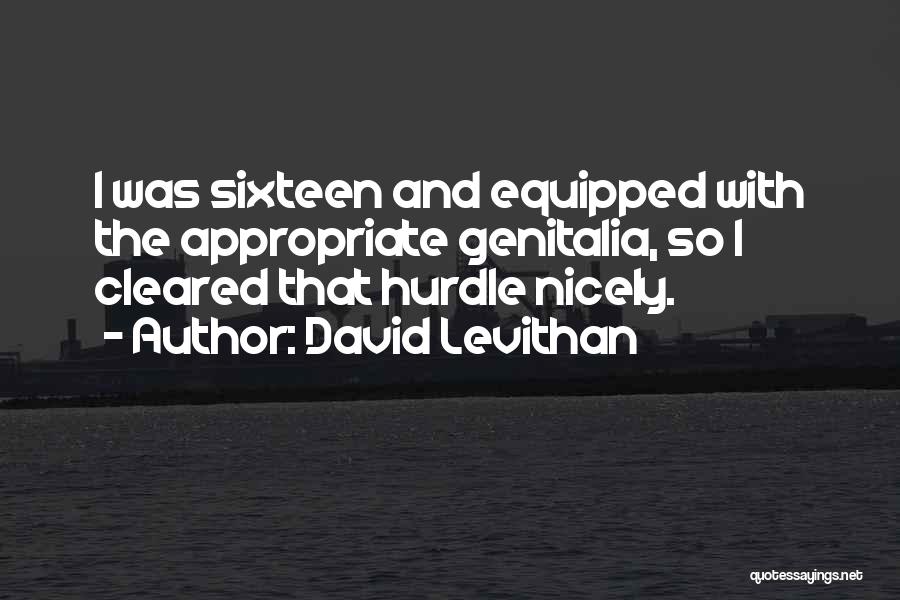 Nicely Done Quotes By David Levithan