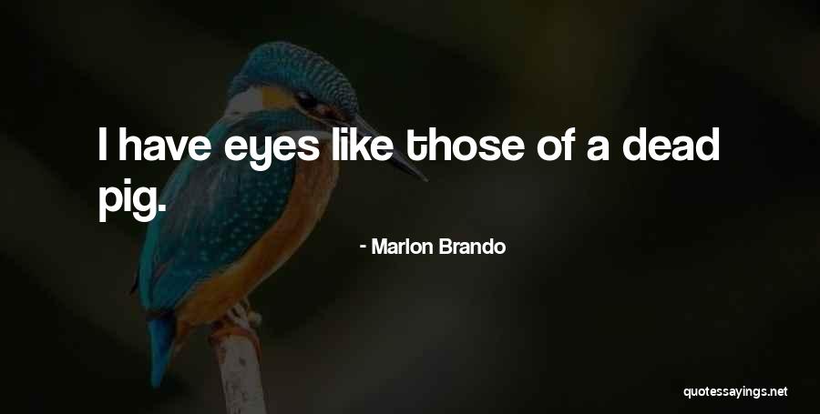 Niceness Synonyms Quotes By Marlon Brando Niceness Synonyms Quotes By Marlon Brando