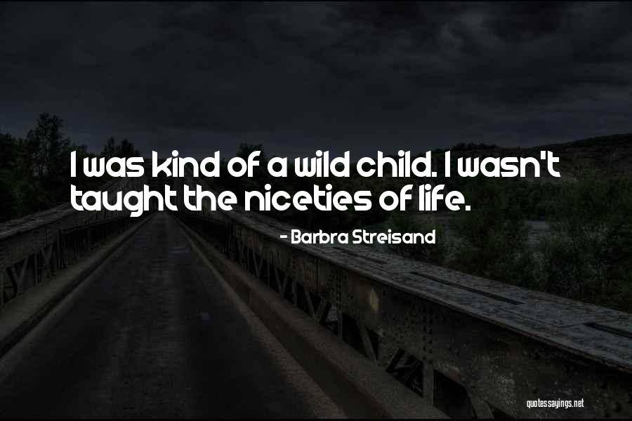 Niceties Quotes By Barbra Streisand