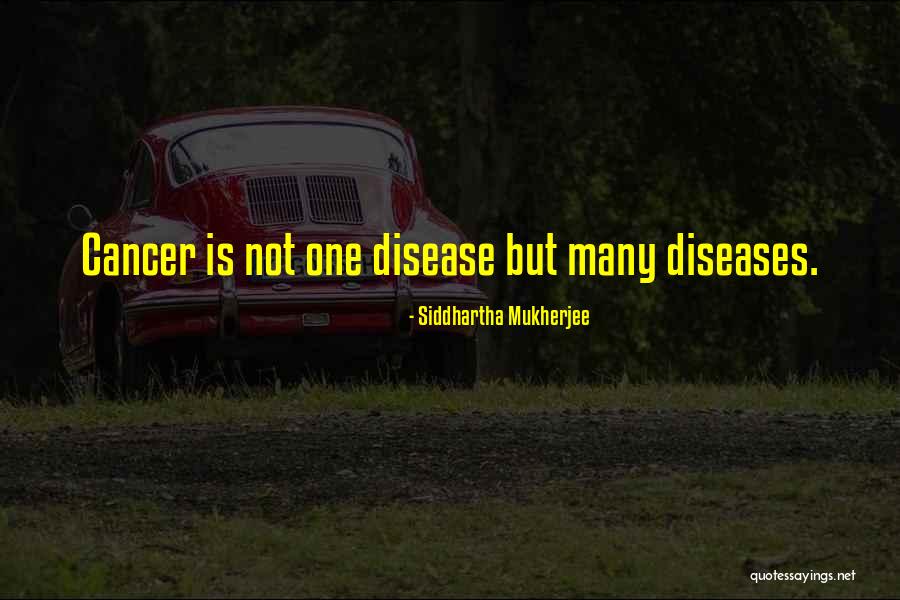 Nicetybar Quotes By Siddhartha Mukherjee Nicetybar Quotes By Siddhartha Mukherjee