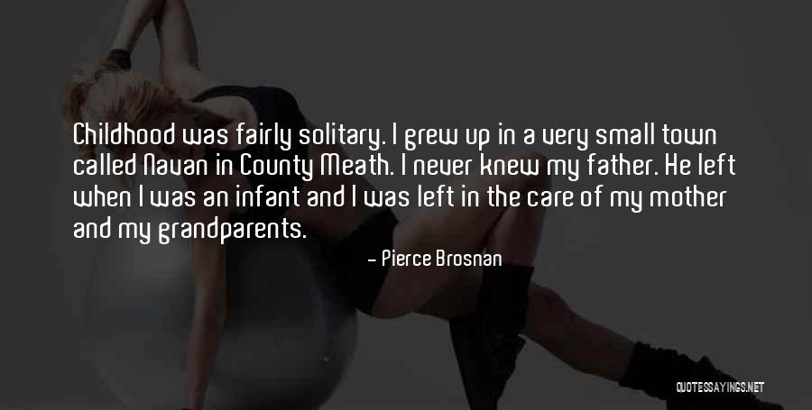 Nicewander Berens Quotes By Pierce Brosnan Nicewander Berens Quotes By Pierce Brosnan