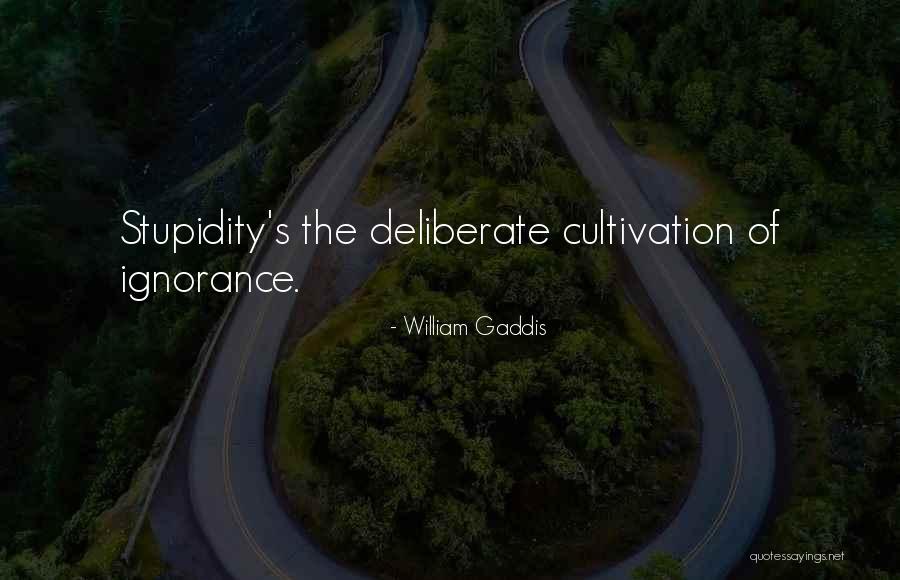 Nicewander Dds Quotes By William Gaddis Nicewander Dds Quotes By William Gaddis