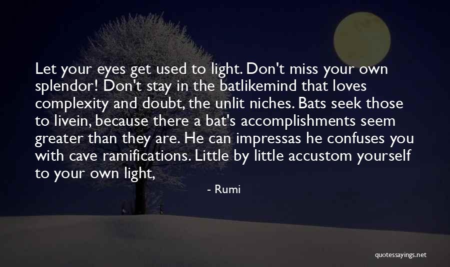 Niches Quotes By Rumi Niches Quotes By Rumi