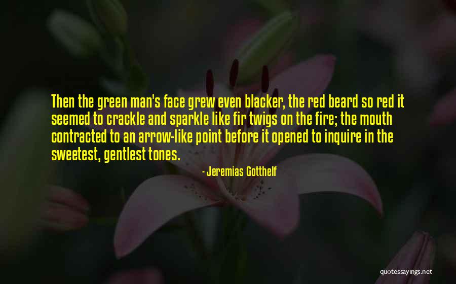 Nichi Vendola Quotes By Jeremias Gotthelf