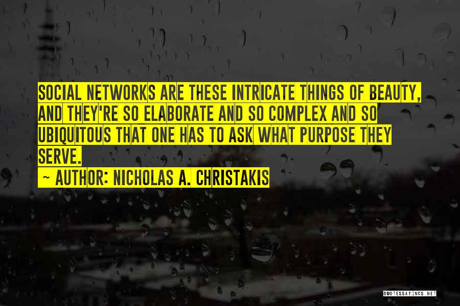 Nicholas A. Christakis Quotes 1997660