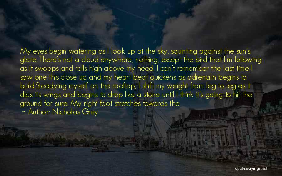 Nicholas Grey Quotes 2129857