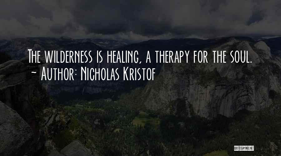 Nicholas Kristof Quotes 2113703