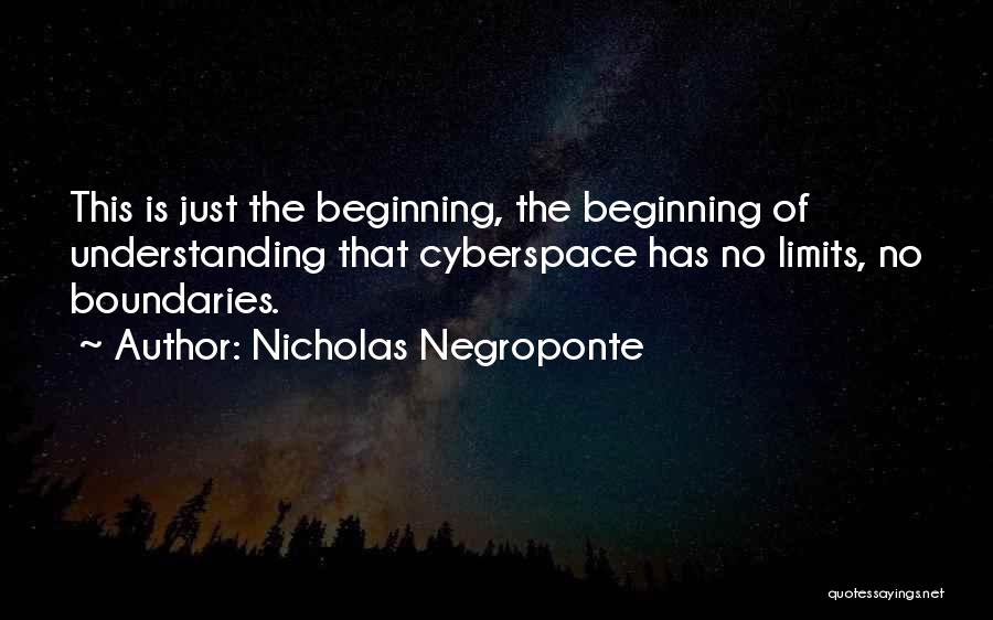 Nicholas Negroponte Quotes 1881416