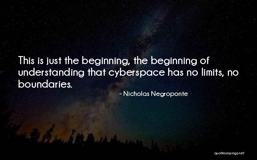 Nicholas Negroponte Quotes 1881416 Nicholas Negroponte Quotes 1881416