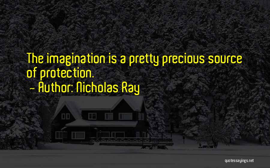 Nicholas Ray Quotes 358709