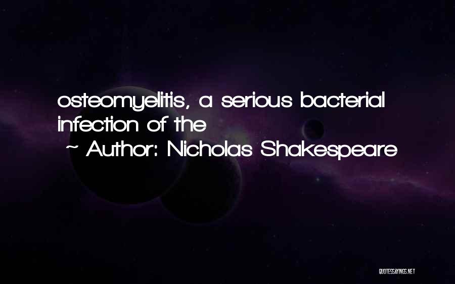 Nicholas Shakespeare Quotes 1174088