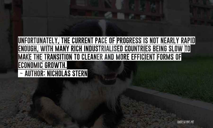 Nicholas Stern Quotes 646133