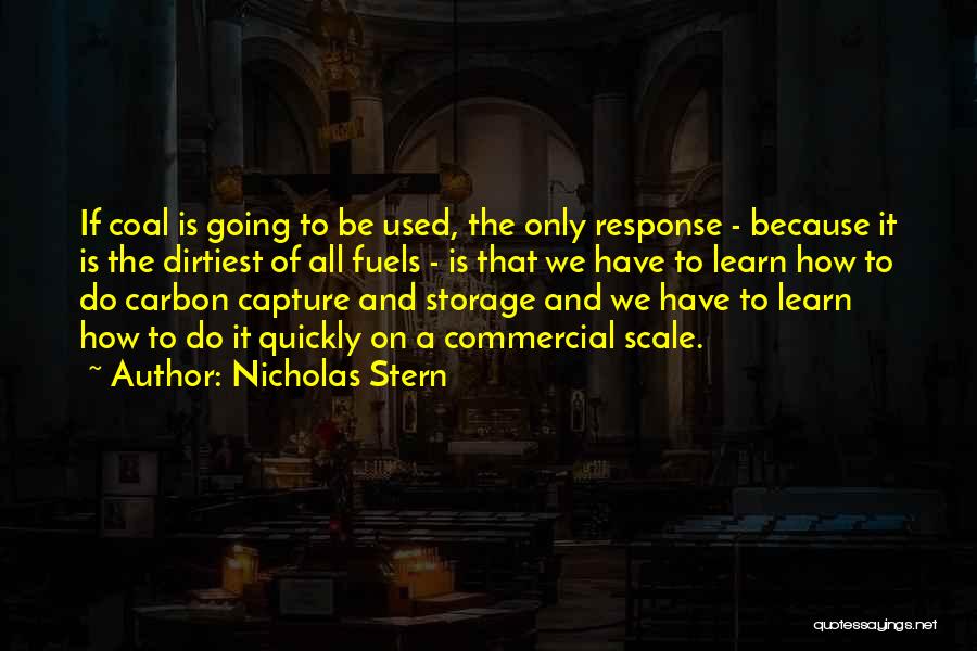 Nicholas Stern Quotes 929176